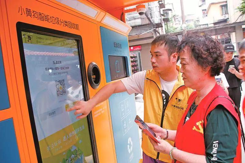 八面玲珑金光瑶,左右逢源紫气丹指什么生肖，详细解答、定量解答解释落实