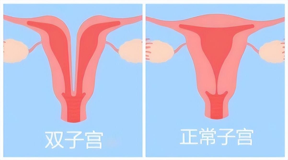 虎虎生威打一正确生肖，详细解答、构建解答解释落实